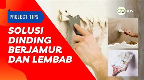 Solusi Tembok Lembab Dan Berjamur Homecare