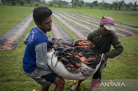 Penjemuran Batik Terkendala Cuaca Antara News