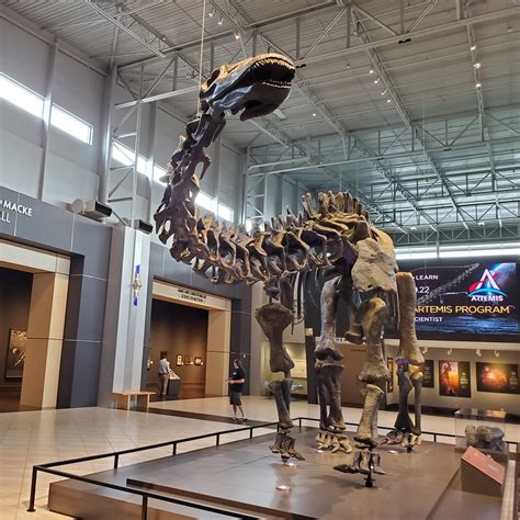 Georgia Apatosaurus Skeleton On Display At The Tellus Scie Flickr