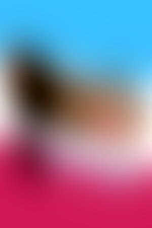 The Sex Thief 1973 The Movie Database TMDb