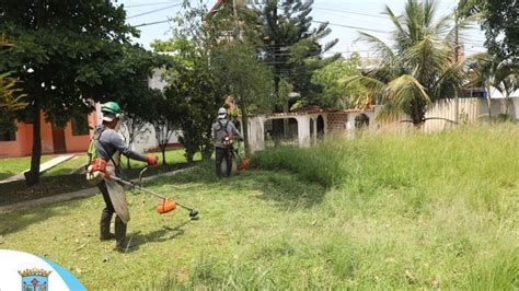 Trabajos De Limpieza Y Mantenimiento De Parques Y Jardines Del Sector