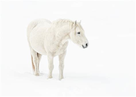 Meeting charlotte garside reveals a remarkably strong spirit