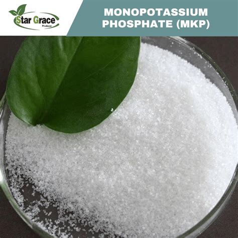 China China Monopotassium Phosphate Mkp Fertilizer Suppliers Producer