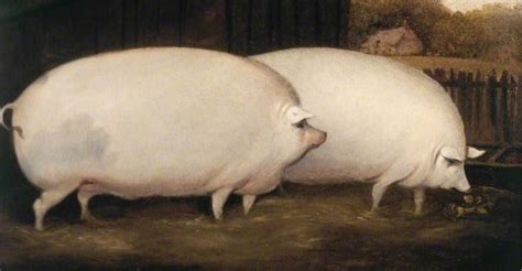 Brother may I have some oats Blank Template - Imgflip