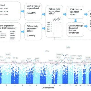 | Overview of the study setup and associated genes. (A) Schematic ...