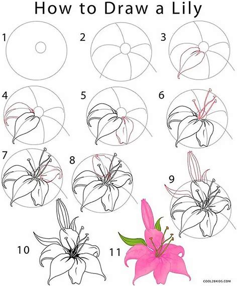 How To Draw Flowers Step By Step With Pencil