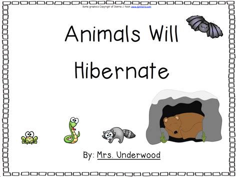 Oceans Of Kindergarten Fun Hibernation Books Past And Present