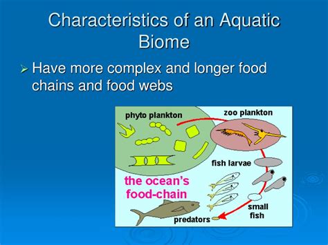 Ppt Aquatic Biomes Powerpoint Presentation Id528098