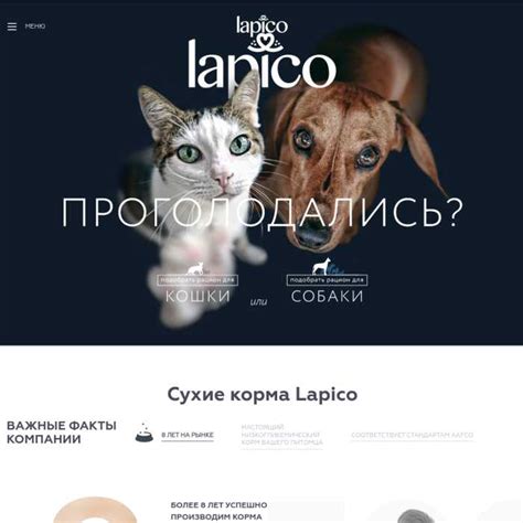 Lapico - зоомагазин в Москве, отзывы и контакты магазина зоотоваров