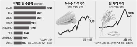 글로벌 What 러·우크라 전쟁에 가뭄까지고조되는 식량 위기 리스크 서울경제