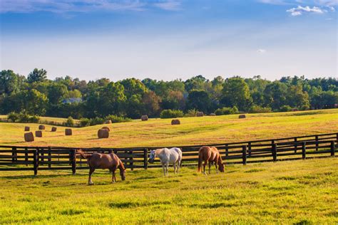26 Fantastic And Fun Things To Do In Lexington Ky