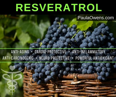 Resveratrol (Angi-aging, Cardio and Neuroprotective) - Paula Owens, MS