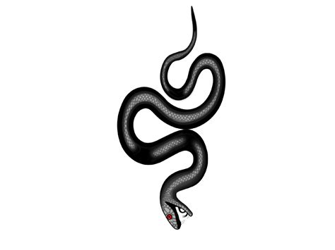 Snake By Agata Sadnowska On Dribbble