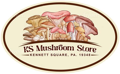 Mushroom Store - RYZE Superfoods