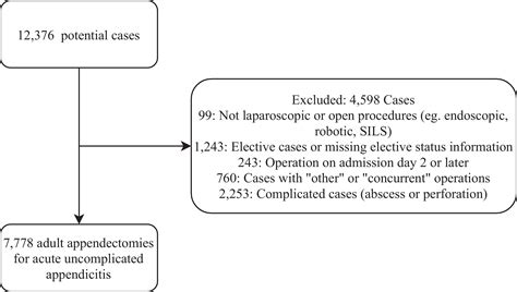 Appendectomy / Appendectomy Procedure Purpose Results Cost Price