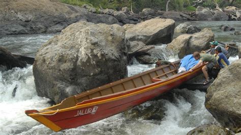 Kapuas River Kalimantan wildlife rainforest and Dayak Culture Tours