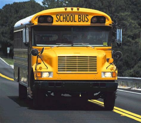 St Louis Bus Wildcat To End