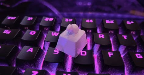 Capybara Keycap By Stina Download Free Stl Model