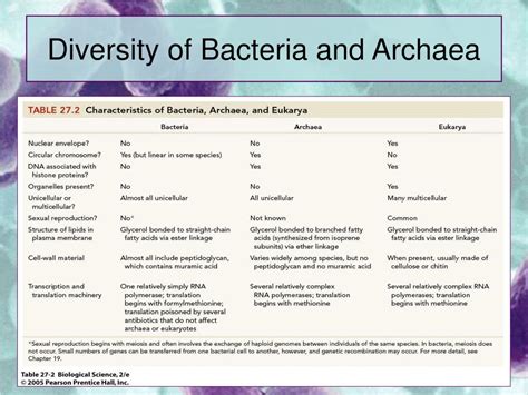 Ppt Bacteria And Archaea Powerpoint Presentation Free Download Id