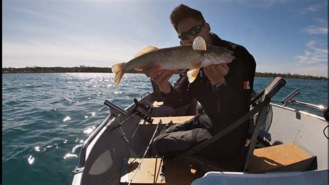 St Clair River Walleye Jigging YouTube