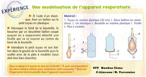 Controle Sur L Appareil Respiratoire