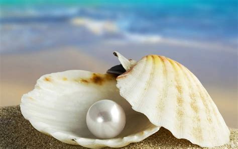 What is Sea Shell Pearl? – CELOVIS JEWELRY