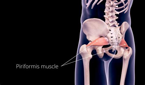 piriformis syndrome stretches relieve buttock sciatica leg pain fast