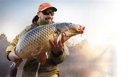 carp fishing plain values