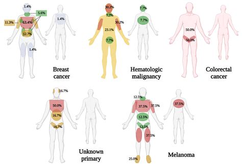 Dermatopathology Free Full Text Clinical And Histopathologic