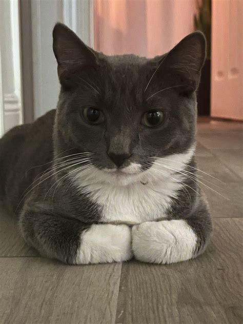 Best Ino Hinata Images On Pholder Naruto Naruto Shinobi Striker And Nude Celebz