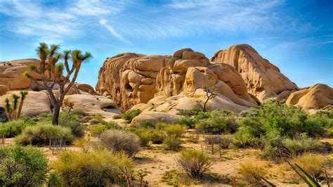 Joshua Tree National Park - The Spring Resort & Spa