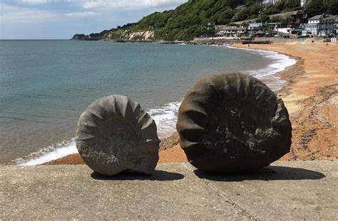 Une ammonite géante de 100 kg découverte en Angleterre