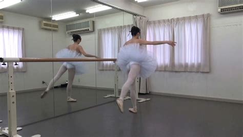 Professional NUDE Vol Ballerina アダルト動画 ソクミル