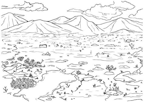 Tundra Drawing