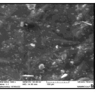 SEM images of the composite specimens at a 25% weight fraction of ...