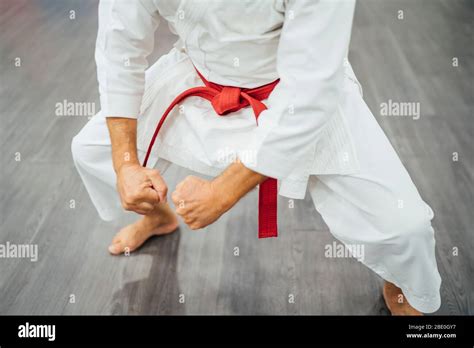 Karate master performing combat techniques Stock Photo - Alamy