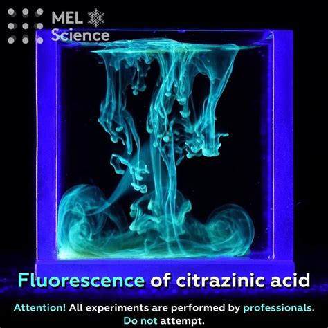 Enjoy the beauty of physics [Video] in 2021 | Science projects for kids ...