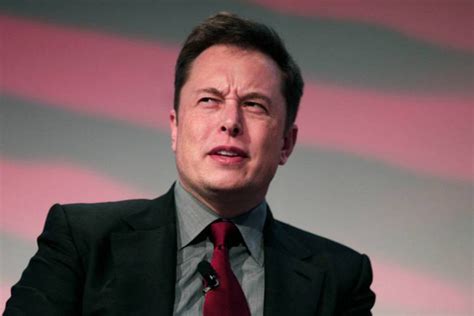 SpaceX Илона Маска подала в суд на украинскую компанию из-за названия ...