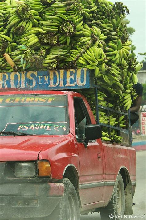 Banana Season Haiti Haiti Haitian Seasons