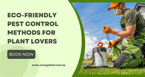 Eco Friendly Pest Control Methods For Plant Lovers Problogs