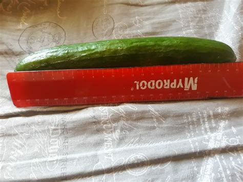 Fucking My Pussy With A Massive Cucumber Almost Didn Fit 34 Pics XHamster