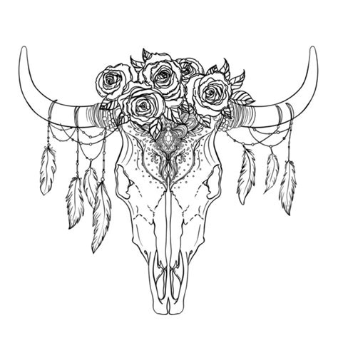 Caveira De Boi Desenho - Caveira de boi Imagens de Stock de Arte Vetorial | Depositphotos