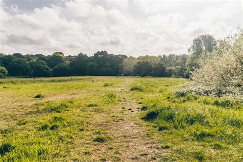 Explore Hampstead Heath With These Brilliant Self-Guided Walks