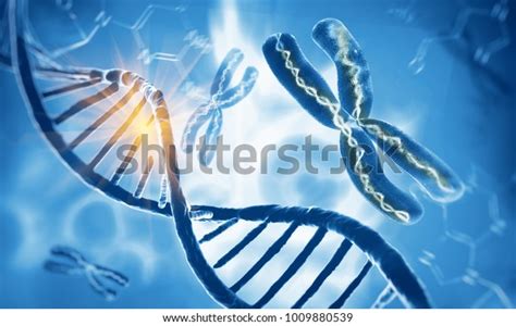 dna double helix molecules  chromosomes  illustration