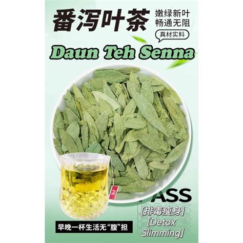 【1 Tea Bag】番泻叶茶 Sanna Senna Leaf Daun Jati Cina Maki Daun Sunnah Daun