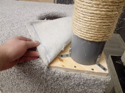 Когтедралка своими руками - картинки и фото koshka.top