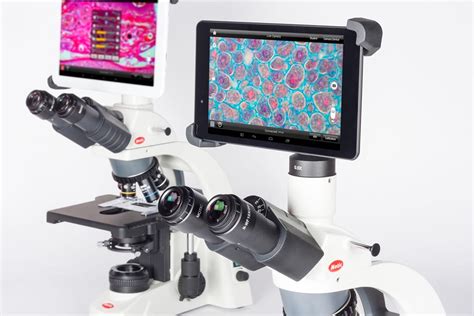 Moticam Microscope Cameras Asistecie