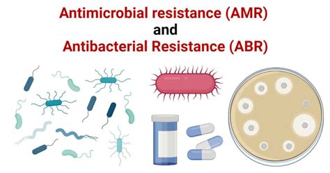 Antimicrobial Resistance Amr And Antibacterial Resistance Abr