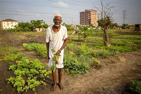 Harvesting Cities Tapping The Potential Of Urban Agriculture IWMI