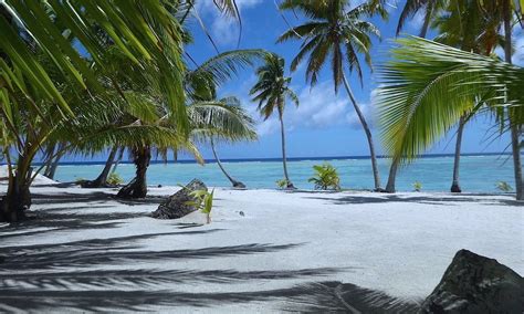 Palmerston Island 2021 Best Of Palmerston Island Tourism Tripadvisor